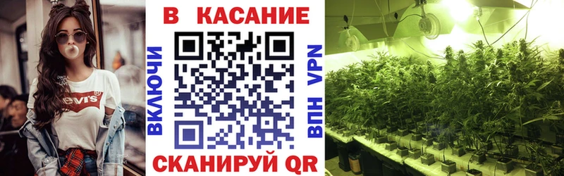 Купить наркотики сайты Светлоград ГАШИШ  Канабис  Кодеин  кракен tor  МЕТАМФЕТАМИН  Мефедрон  Кокаин  APVP 