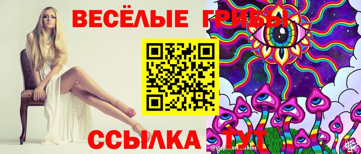 Галлюциногенные грибы прущие грибы  Вход с VPN  купить наркотики сайты  Светлоград 