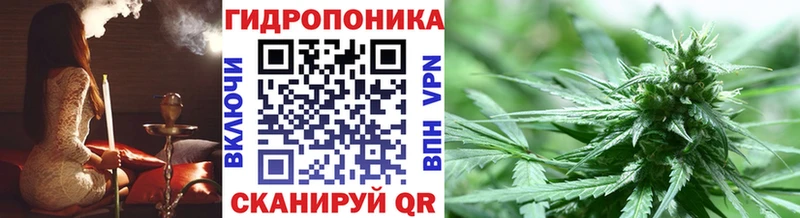 Конопля индика Светлоград