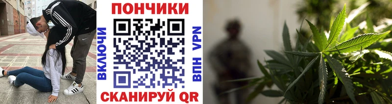 наркошоп  Светлоград  Шишки марихуана конопля 